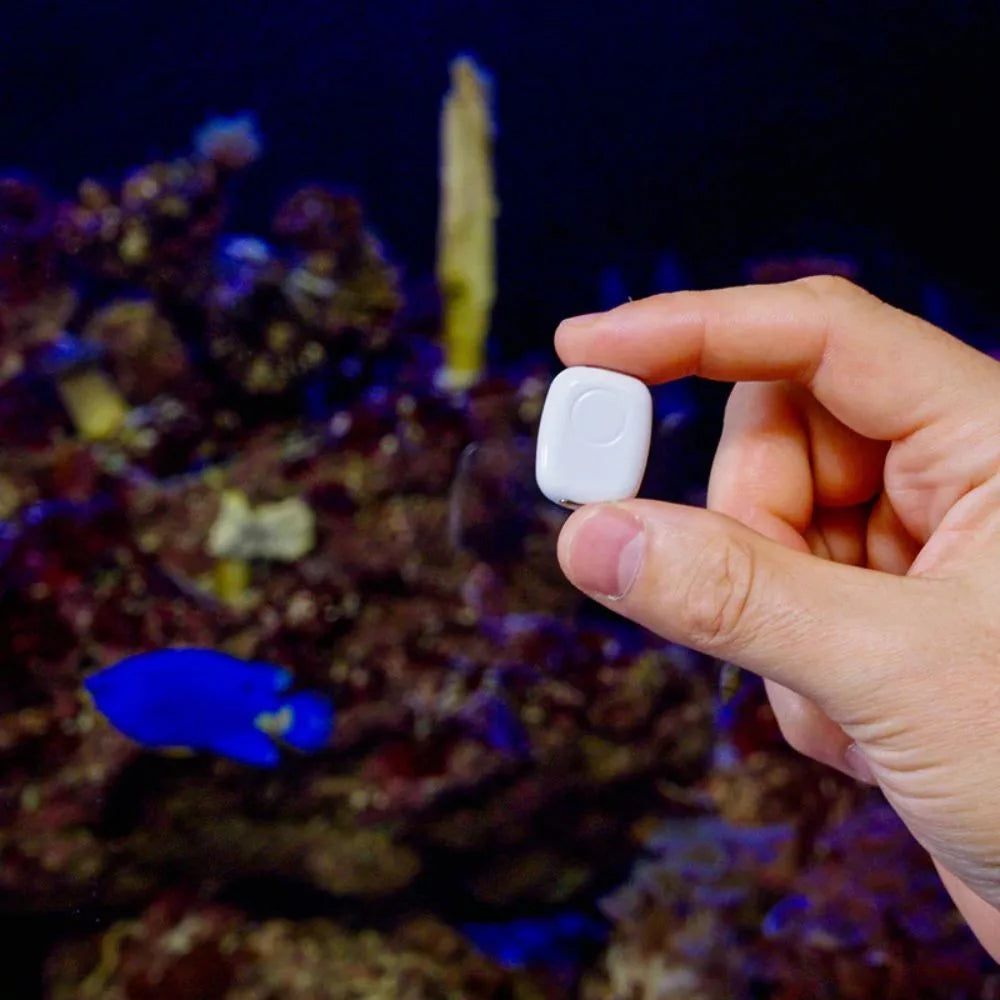 The Pill by Shelly – Multi-purpose input module, Wi-Fi, Bluetooth, branco (S3SN-0U53X)