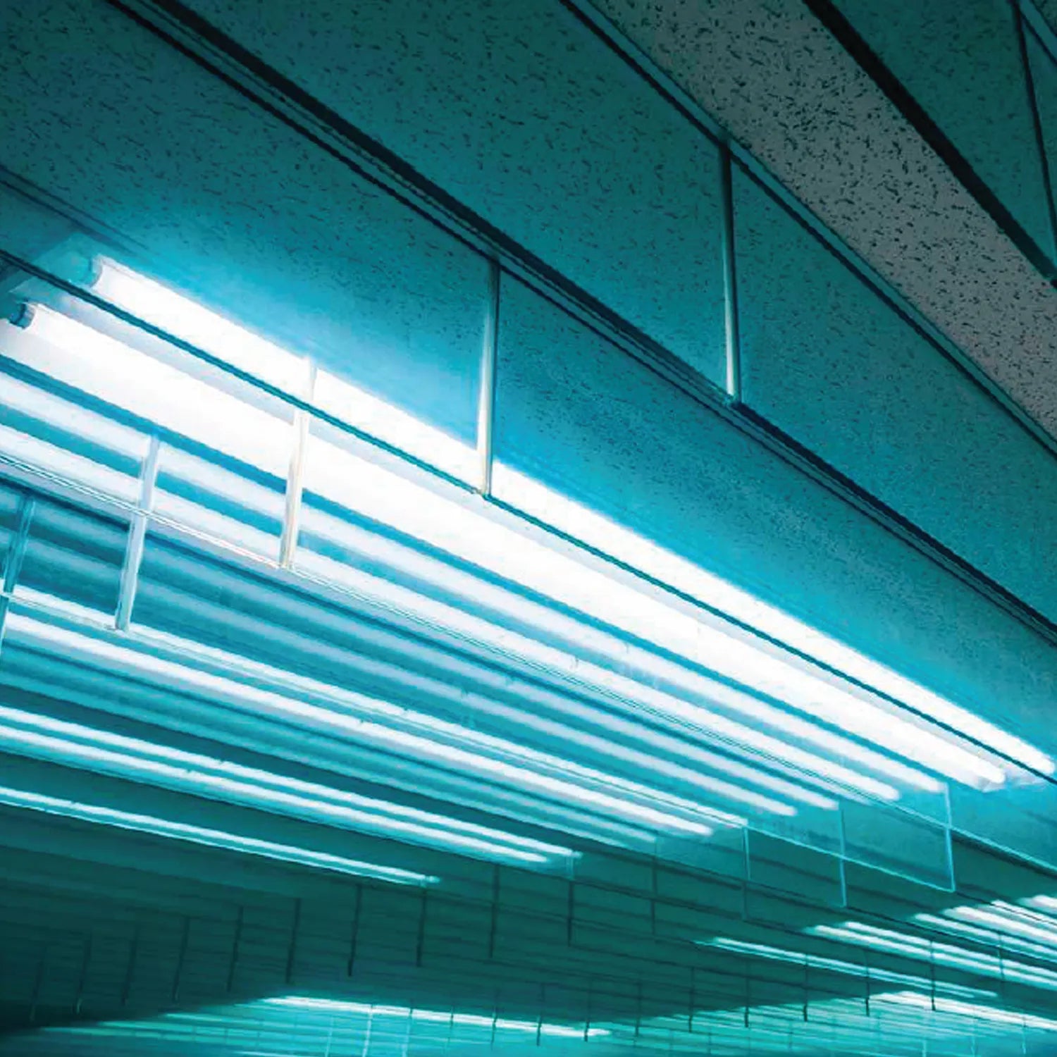 Lâmpada LED T8 9W 6500K Lig-2lados