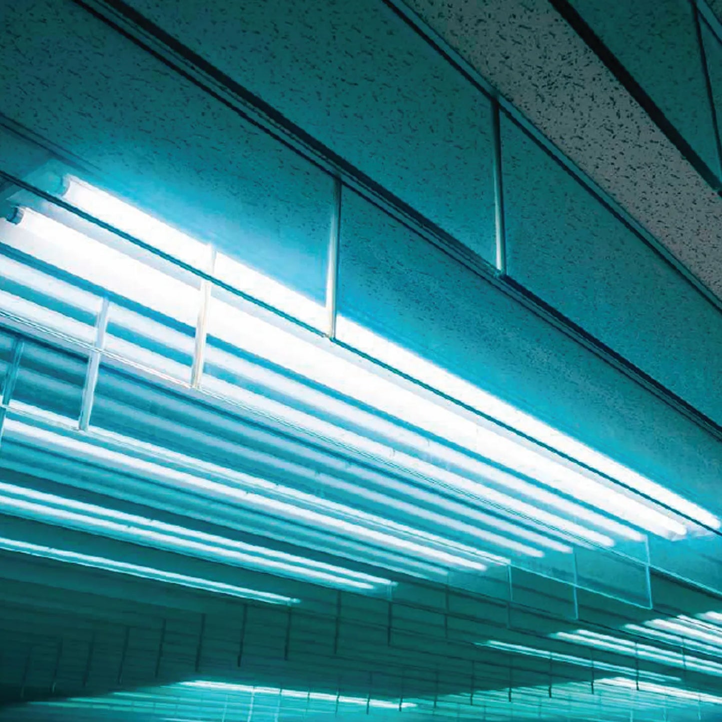 Lâmpada LED T8 22W 6500K Lig-2lados