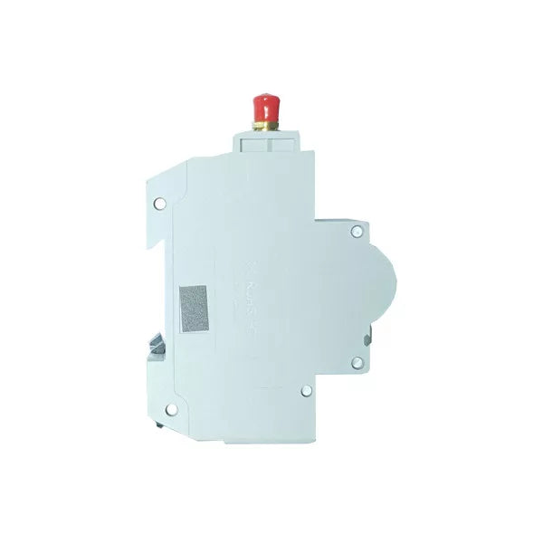 WDYK MCB 10A 2P Wi-Fi Smart Mini Circuit Breaker (10A, 1P+1N)