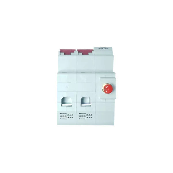 WDYK MCB 10A 2P Wi-Fi Smart Mini Circuit Breaker (10A, 1P+1N)