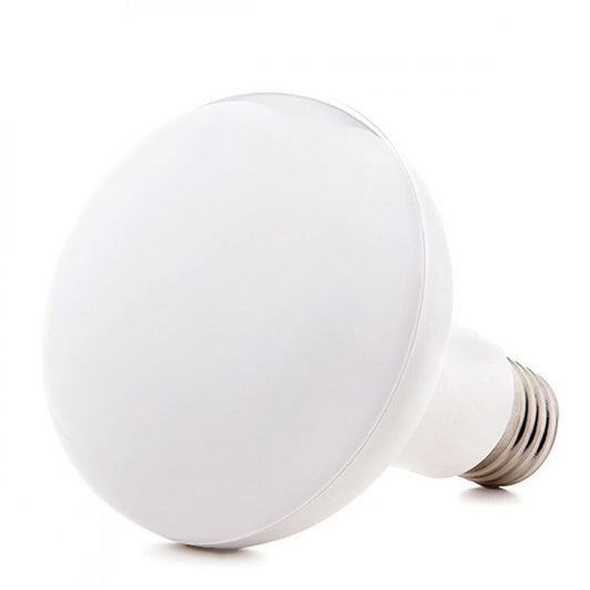Lâmpada LED E27 12W 1.000Lm 6000ºK R80 40.000H