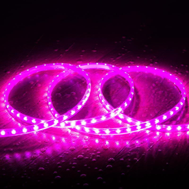 Fita LED Regulável 220V SMD 60 LED/m Rosa 5W/m Largura 12mm Corte 100cm IP65 à Medida