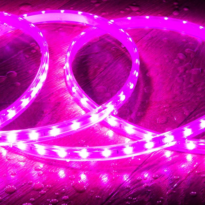 Fita LED Regulável 220V SMD 60 LED/m Rosa 5W/m Largura 12mm Corte 100cm IP65 à Medida