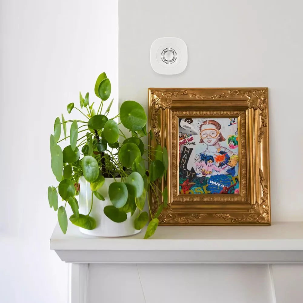 frient Air Quality Sensor – Air quality, temperature, and humidity sensor, Zigbee (AQSZB-110)