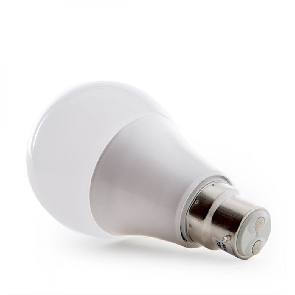 Lâmpada LED B22 7W 630Lm 6000ºK Baioneta 40.000H