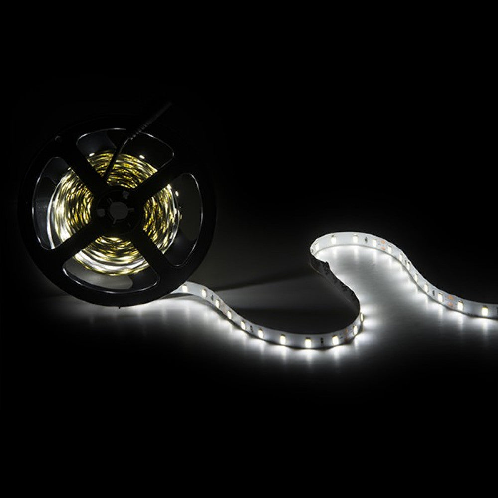 Faixa de 300 LEDs 40W 4.000Lm CRI85 6000ºK SMD2835 24VDC IP20 x5M 40.000H-Branco Frio