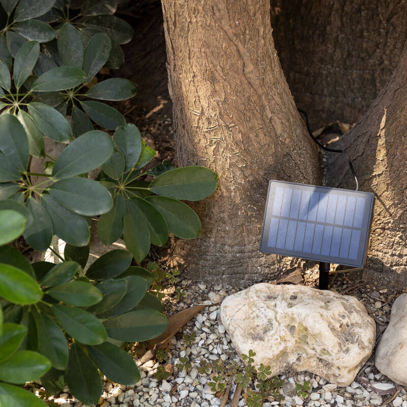 Grinalda de Lâmpadas LED Solar Exterior Kuiper 7m