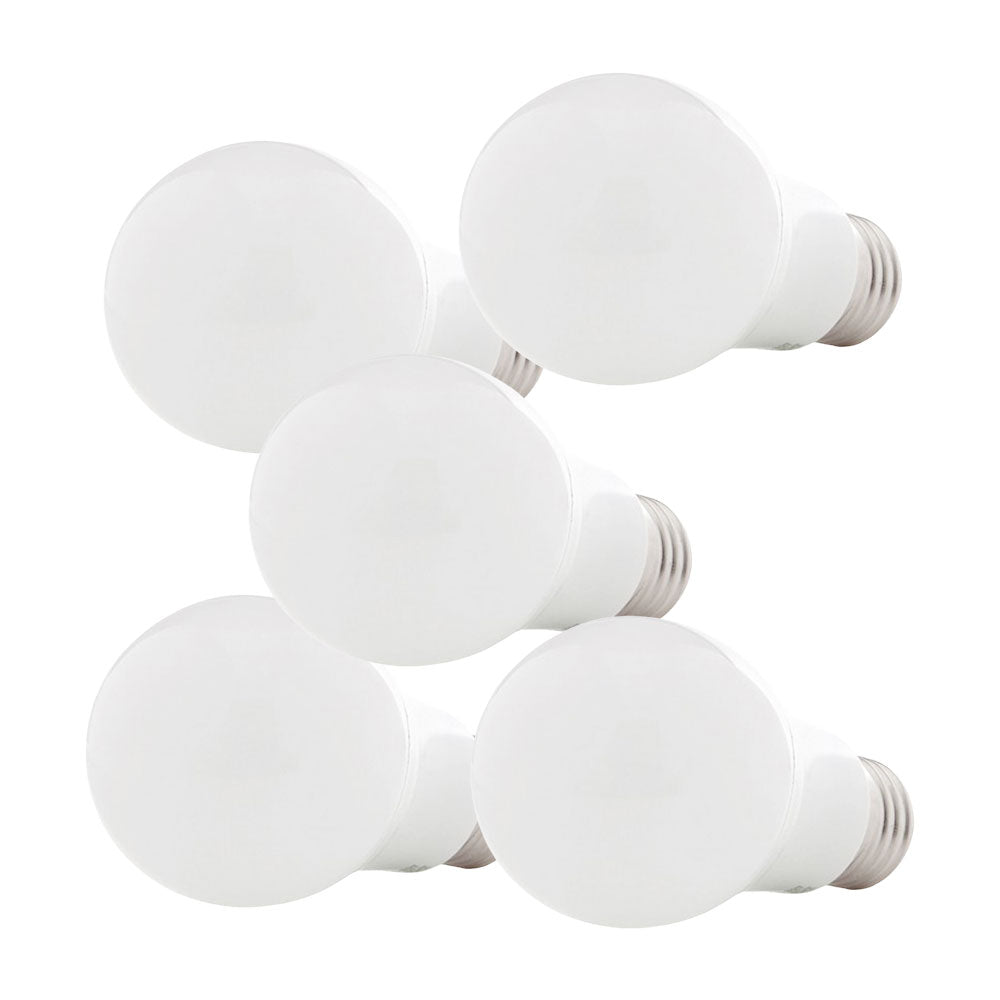 Pacote de 5 Lâmpadas LED E27 5W 450Lm 6000ºK 40.000H