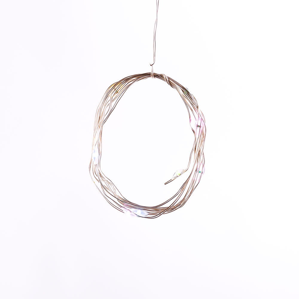 Guirlanda LED interna 1M