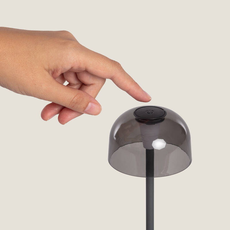 Candeeiro de Mesa LED Portátil com Bateria USB Recarregável Lendora Smoke
