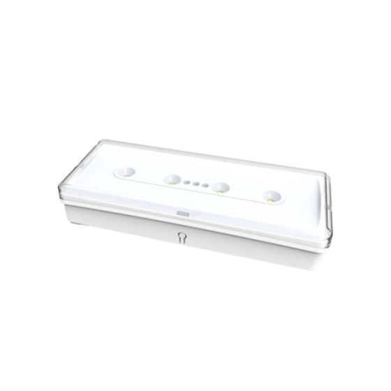 Luz Emergência LED 100lm IP20 3h | F7021