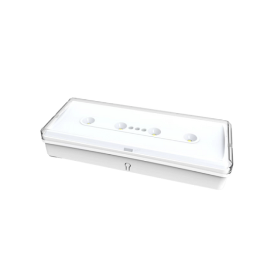 Luz Emergência LED 100lm IP20 3h | F7021