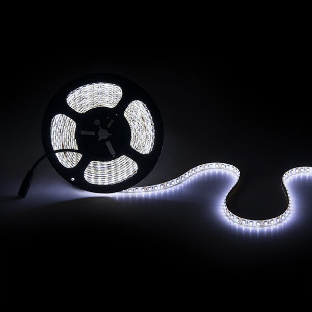 Faixa de 600 LEDs 48W 2.400Lm CRI85 6000ºK SMD3528 12VDC IP65 x5M 40.000H-Branco