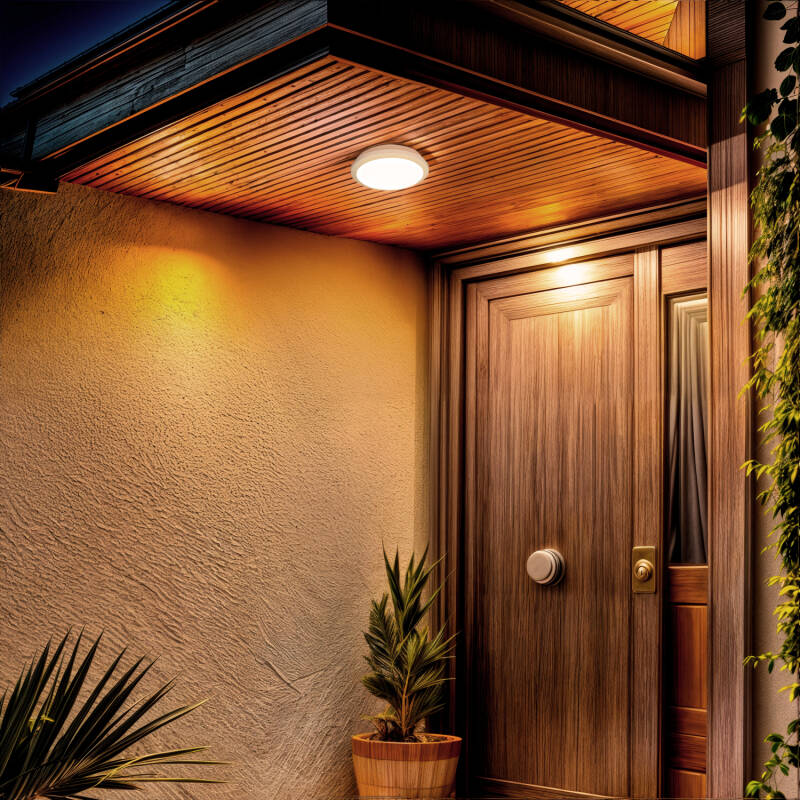 Plafon LED para Exterior 19-28W CCT Seleccionável Regulável Ø300 mm