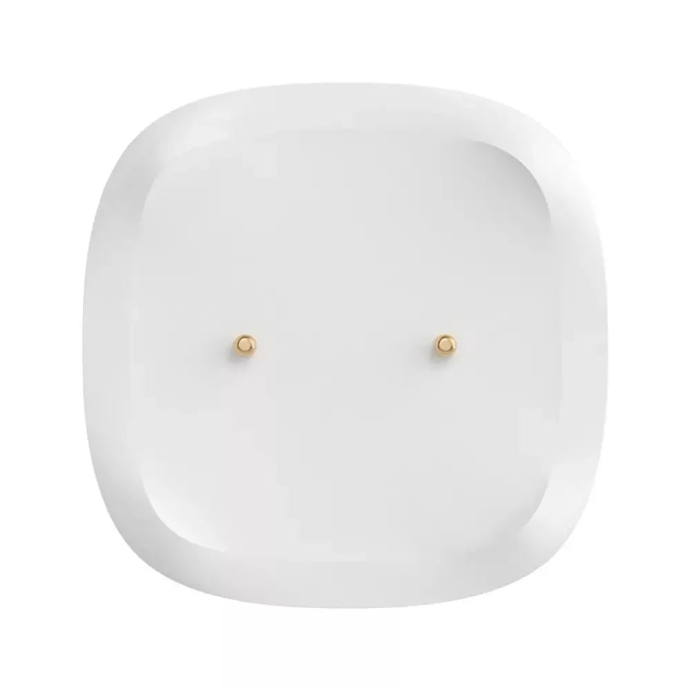 SONOFF Zigbee Water Leak Sensor SNZB-05P