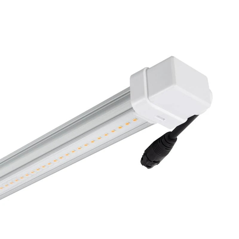 Tubo LED T8 G13 60 cm de Cultivo Batten Grow 10W