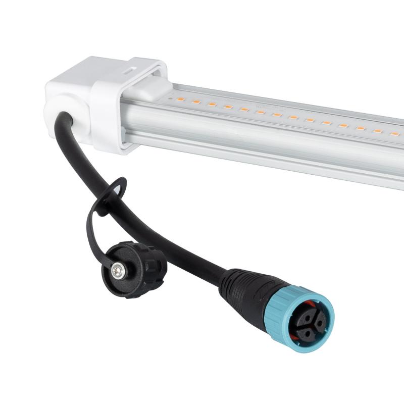 Tubo LED T8 G13 60 cm de Cultivo Batten Grow 10W