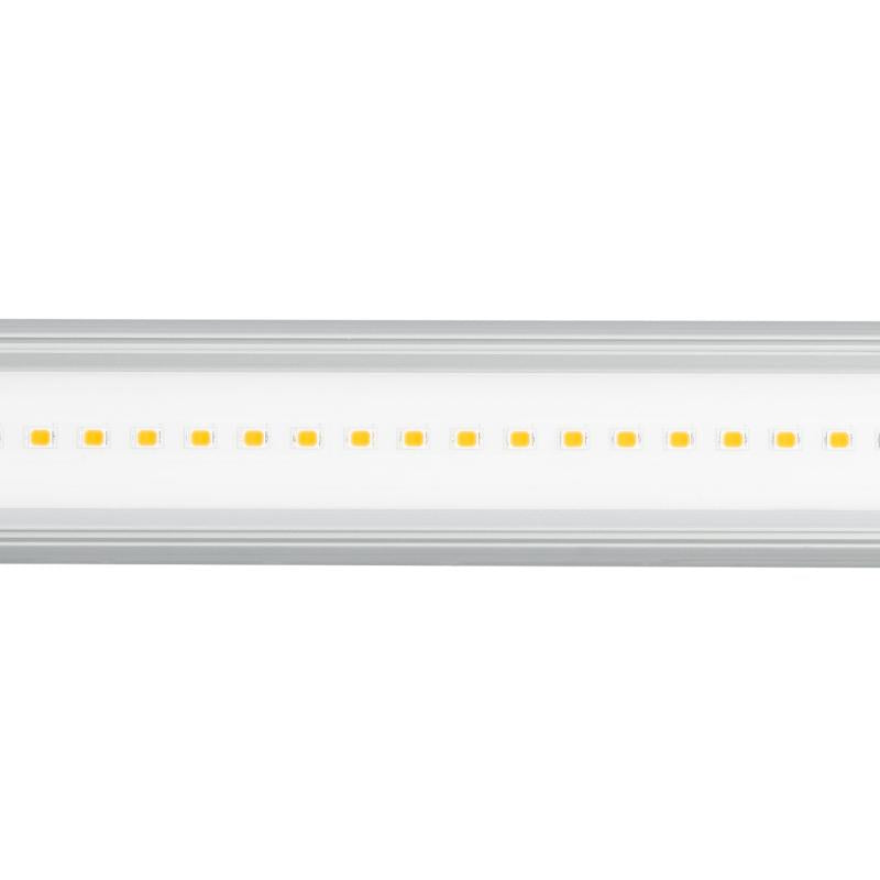 Tubo LED T8 G13 60 cm de Cultivo Batten Grow 10W
